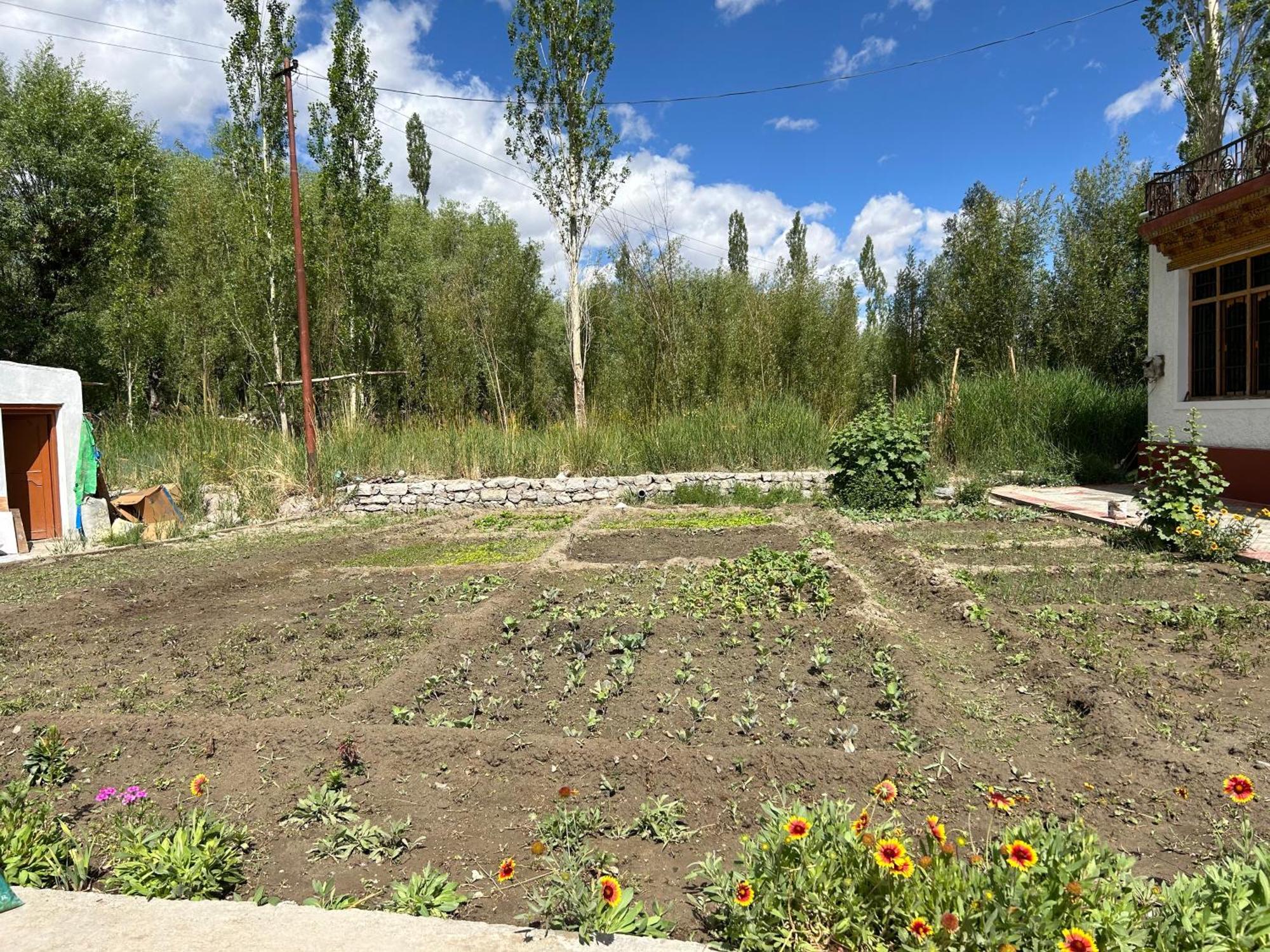 Nature Palace Farmstay She المظهر الخارجي الصورة